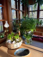 wielkanoc_IMG-20240402-WA0007