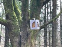 wielkanoc_IMG-20240402-WA0012
